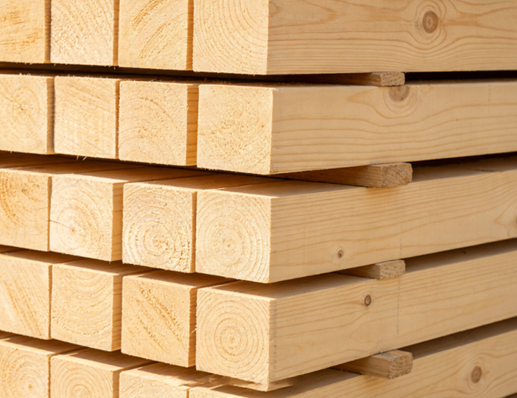 High-Quality Timber Wholesale
